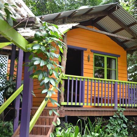 Rainforest Hideaway Cape Tribulation Exteriör bild