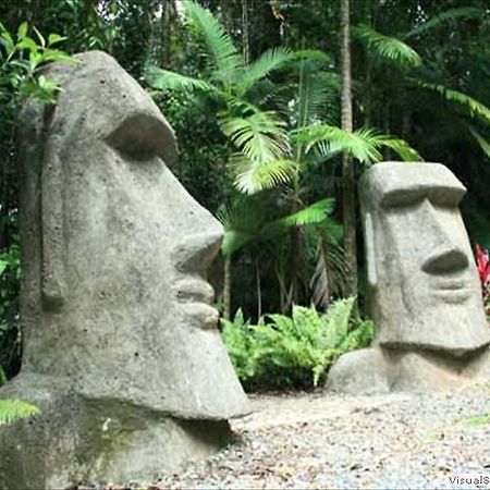 Rainforest Hideaway Cape Tribulation Exteriör bild