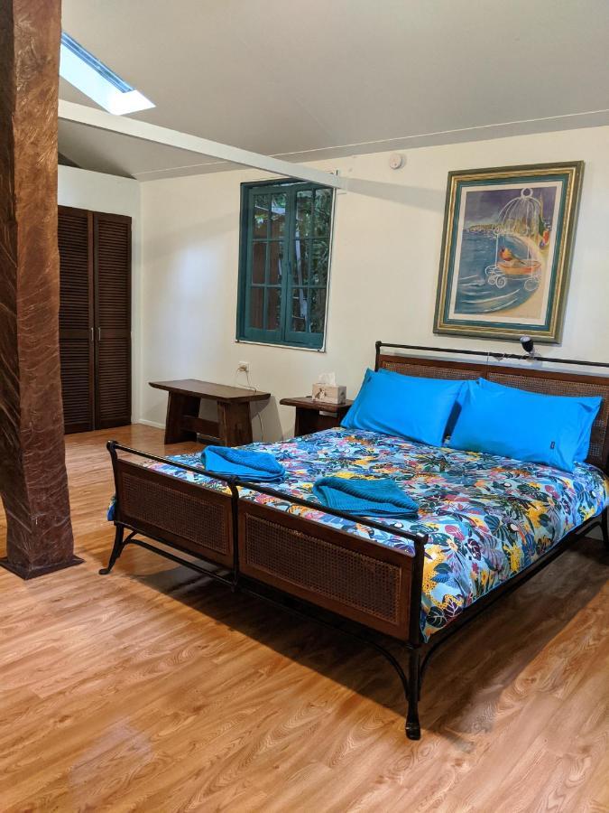 Rainforest Hideaway Cape Tribulation Exteriör bild