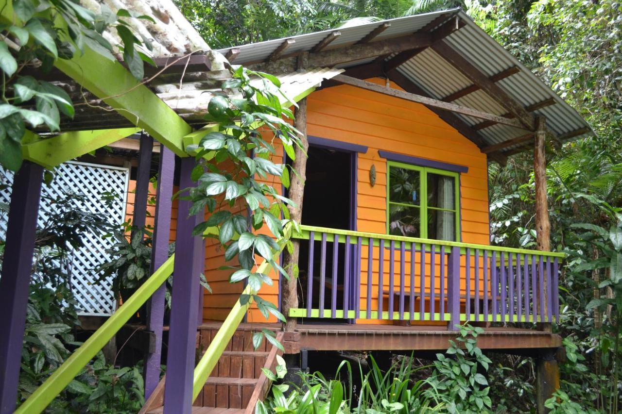 Rainforest Hideaway Cape Tribulation Exteriör bild