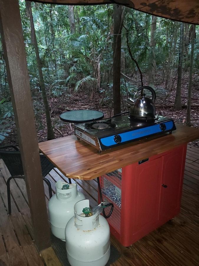 Rainforest Hideaway Cape Tribulation Exteriör bild
