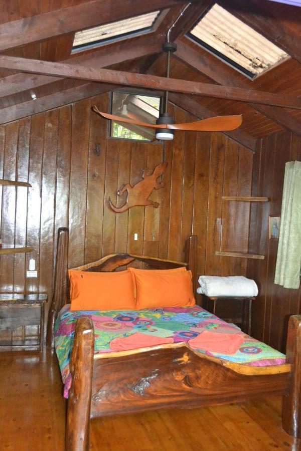 Rainforest Hideaway Cape Tribulation Exteriör bild