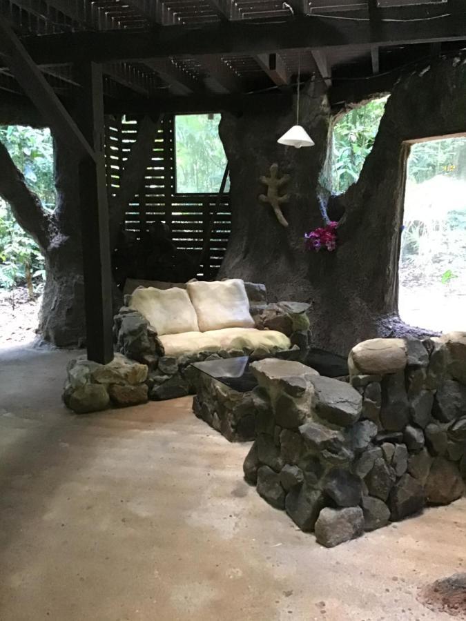 Rainforest Hideaway Cape Tribulation Exteriör bild