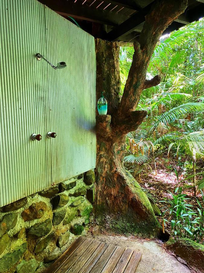 Rainforest Hideaway Cape Tribulation Exteriör bild