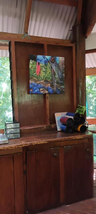 Rainforest Hideaway Cape Tribulation Exteriör bild