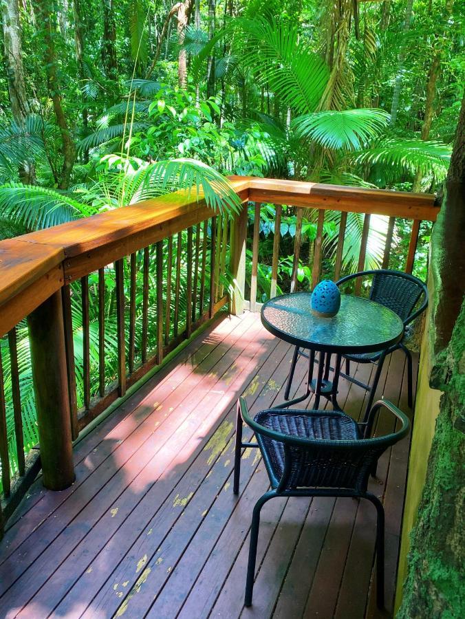 Rainforest Hideaway Cape Tribulation Exteriör bild