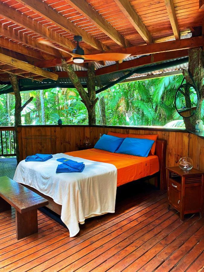 Rainforest Hideaway Cape Tribulation Exteriör bild