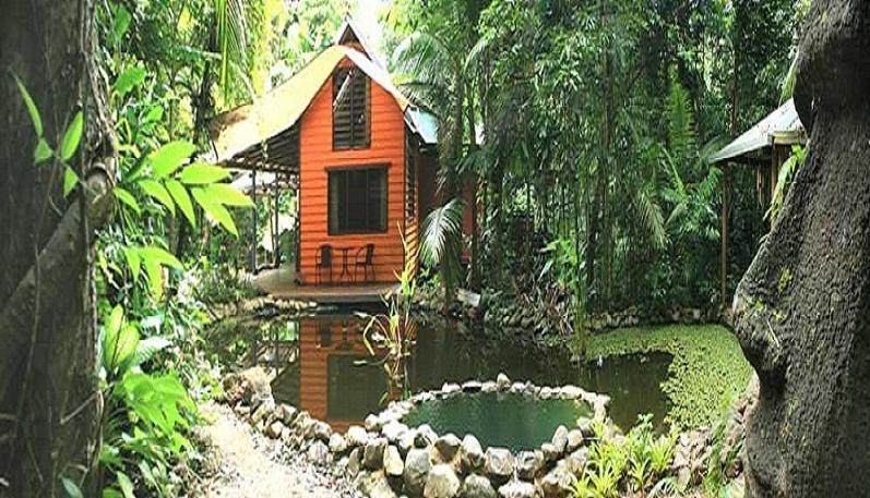 Rainforest Hideaway Cape Tribulation Rum bild