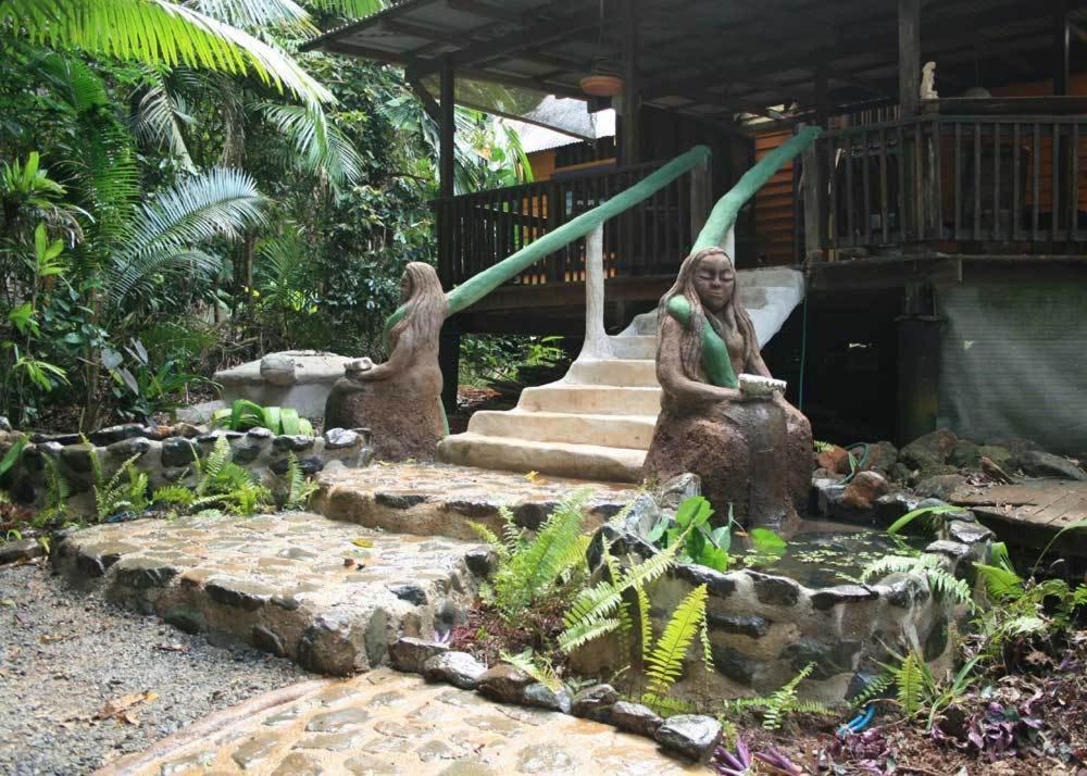 Rainforest Hideaway Cape Tribulation Exteriör bild