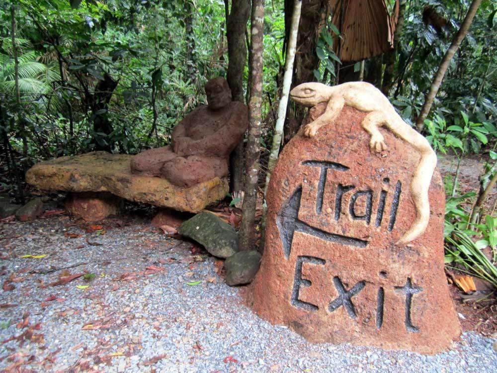 Rainforest Hideaway Cape Tribulation Exteriör bild