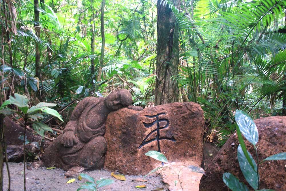 Rainforest Hideaway Cape Tribulation Exteriör bild