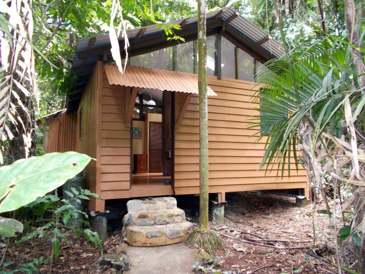 Rainforest Hideaway Cape Tribulation Exteriör bild