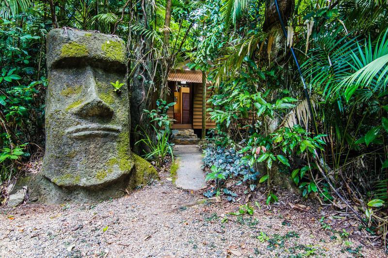 Rainforest Hideaway Cape Tribulation Exteriör bild