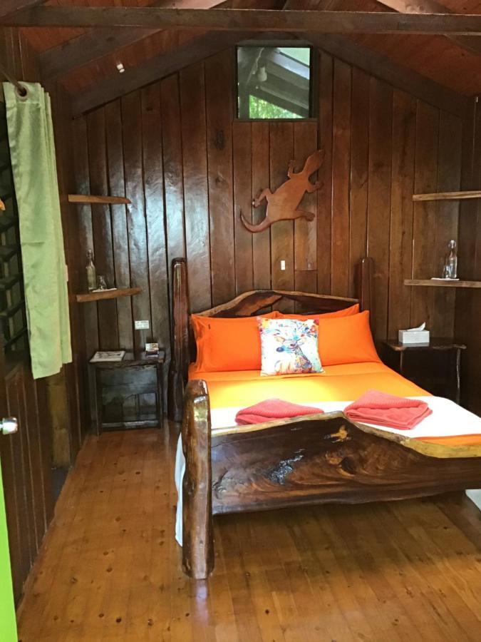 Rainforest Hideaway Cape Tribulation Exteriör bild